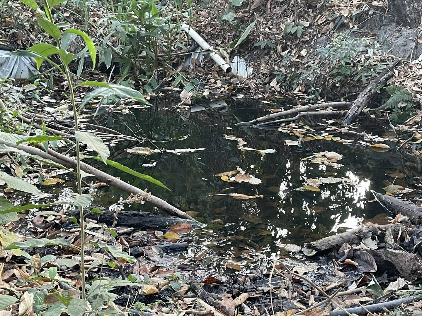 #39 - Chácara para Venda em Florestal - MG