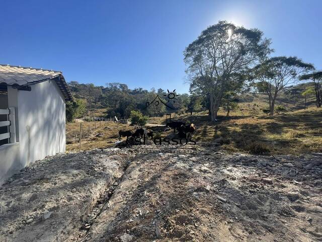 Fazenda para Venda em Florestal - 4