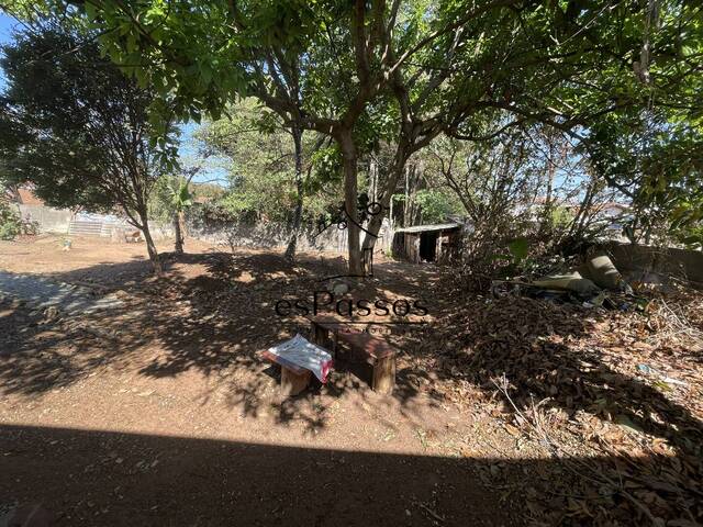 Casa para Venda em Florestal - 4