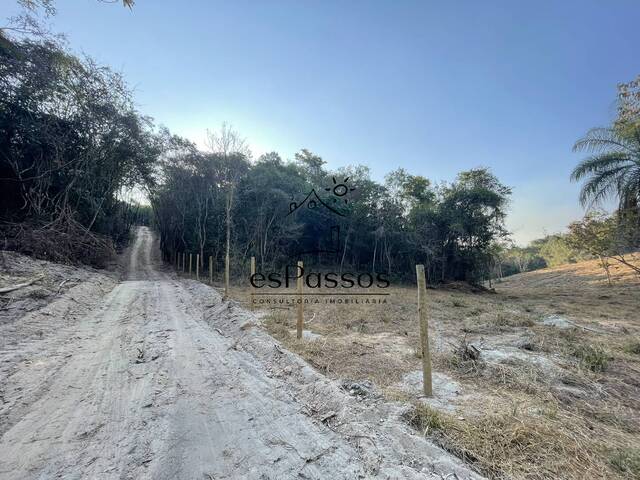 #38 - Chácara para Venda em Florestal - MG - 3