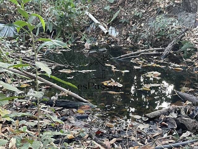 #39 - Chácara para Venda em Florestal - MG