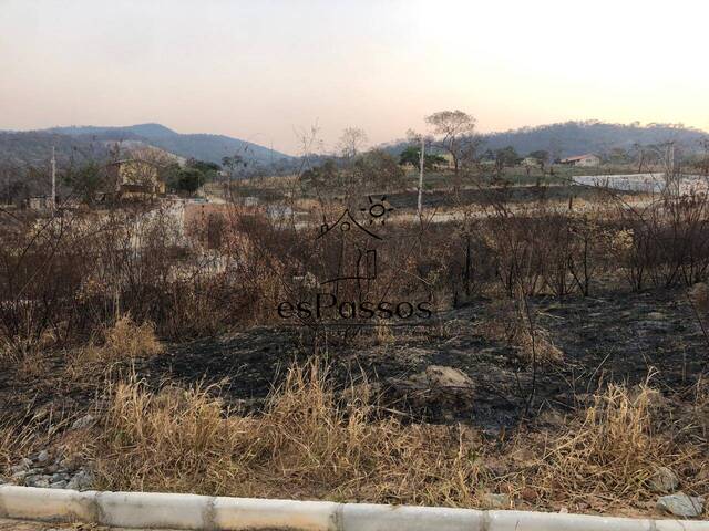 Área para Venda em Florestal - 5