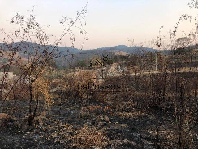 Área para Venda em Florestal - 4