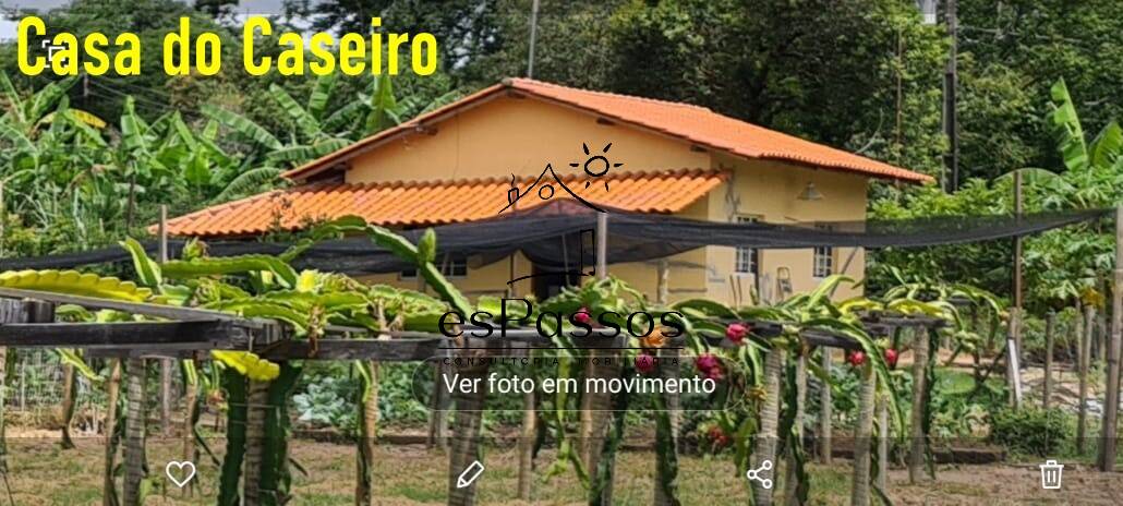 Fazenda à venda com 3 quartos, 110000m² - Foto 4