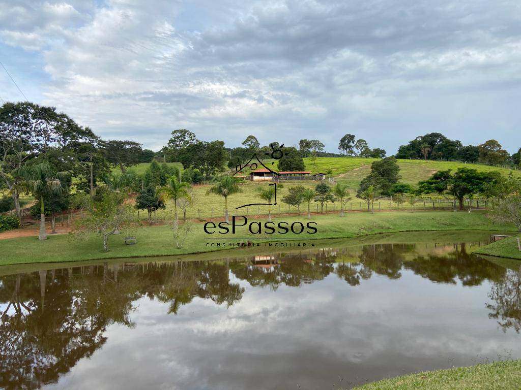 Fazenda à venda com 3 quartos, 110000m² - Foto 2