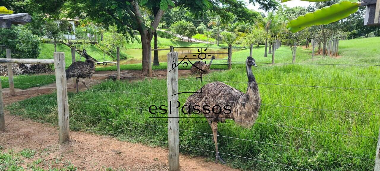 Fazenda à venda com 3 quartos, 110000m² - Foto 10