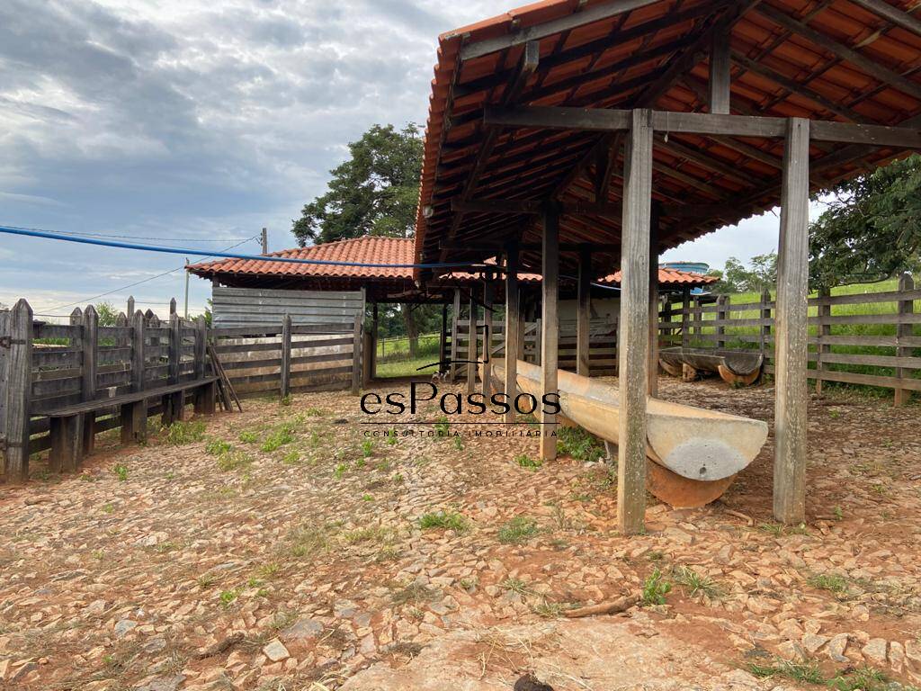 Fazenda à venda com 3 quartos, 110000m² - Foto 13