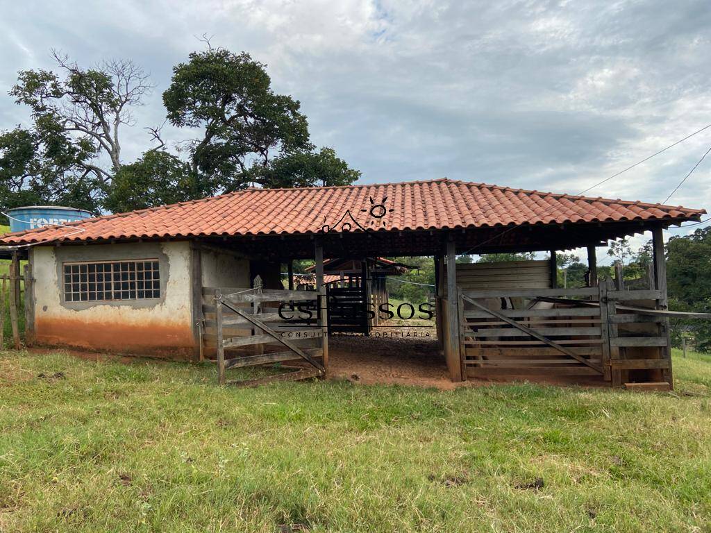 Fazenda à venda com 3 quartos, 110000m² - Foto 12