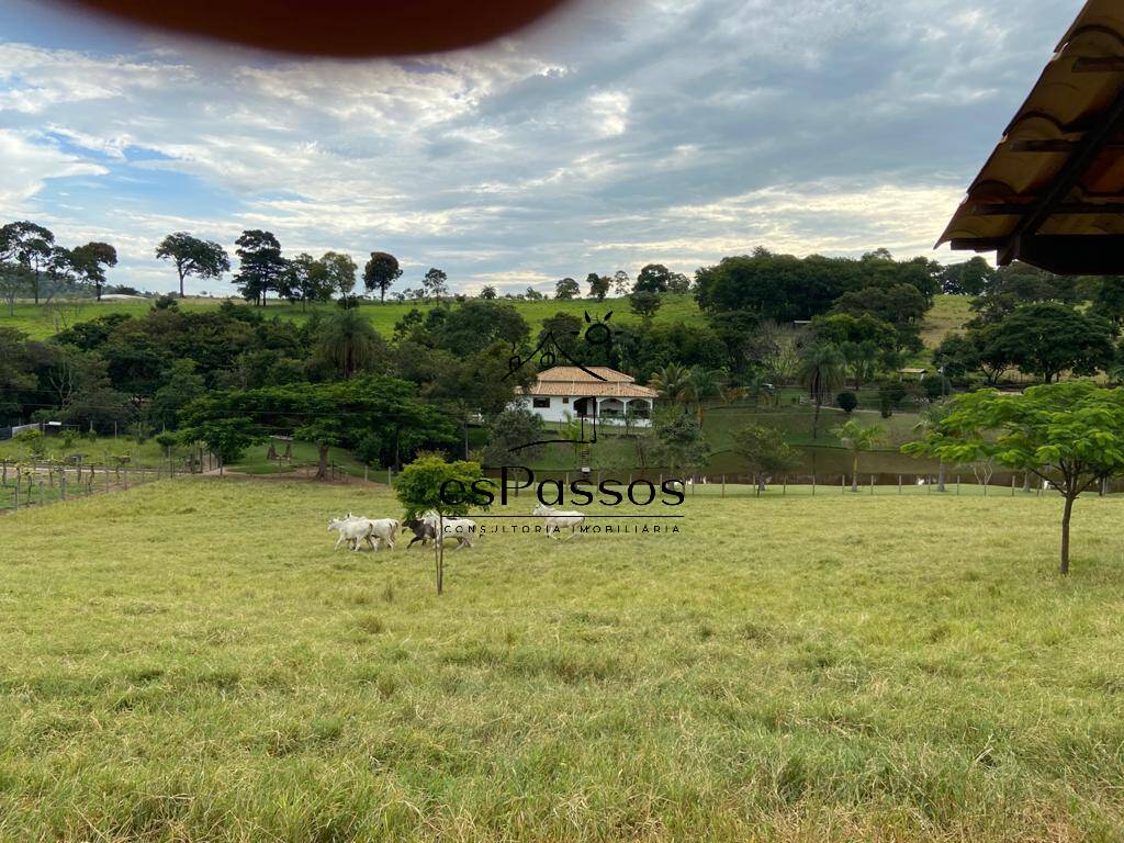 Fazenda à venda com 3 quartos, 110000m² - Foto 15