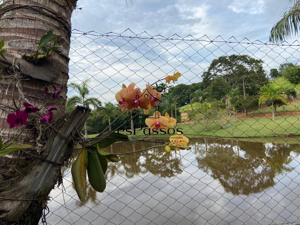 Fazenda à venda com 3 quartos, 110000m² - Foto 23