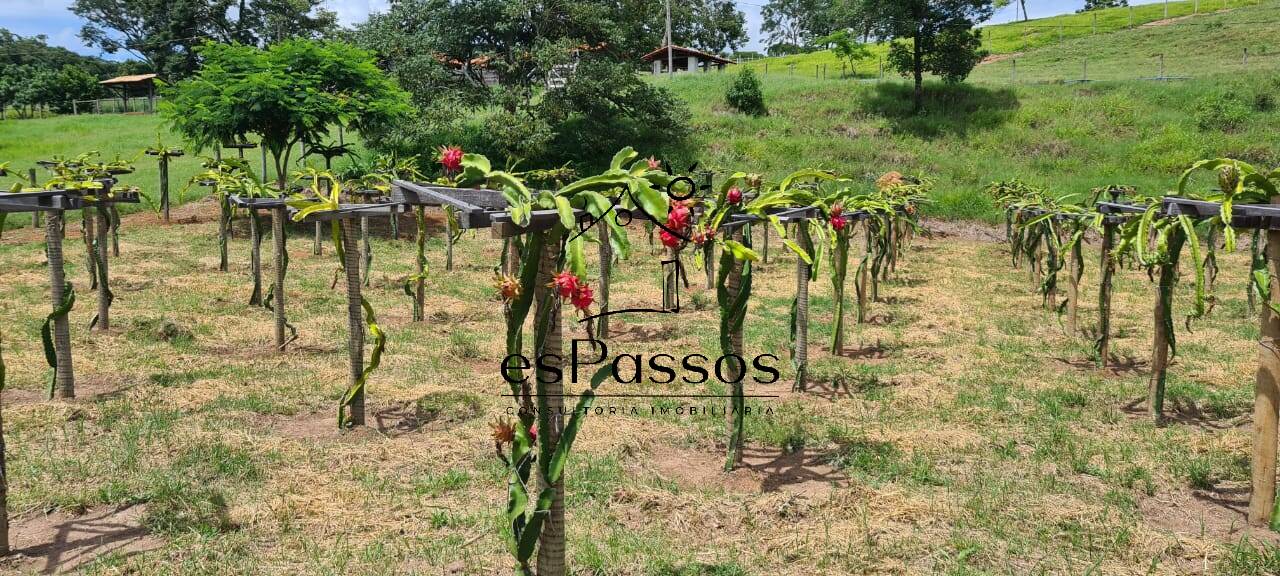 Fazenda à venda com 3 quartos, 110000m² - Foto 41