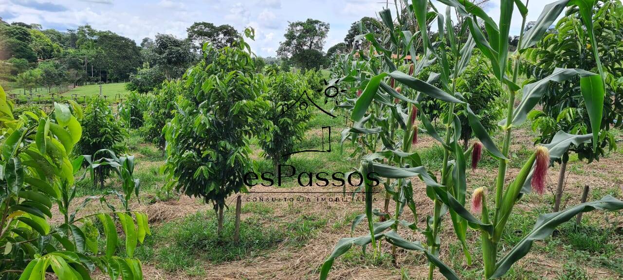 Fazenda à venda com 3 quartos, 110000m² - Foto 43