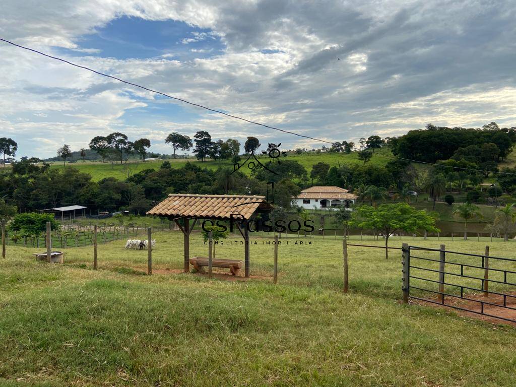 Fazenda à venda com 3 quartos, 110000m² - Foto 46