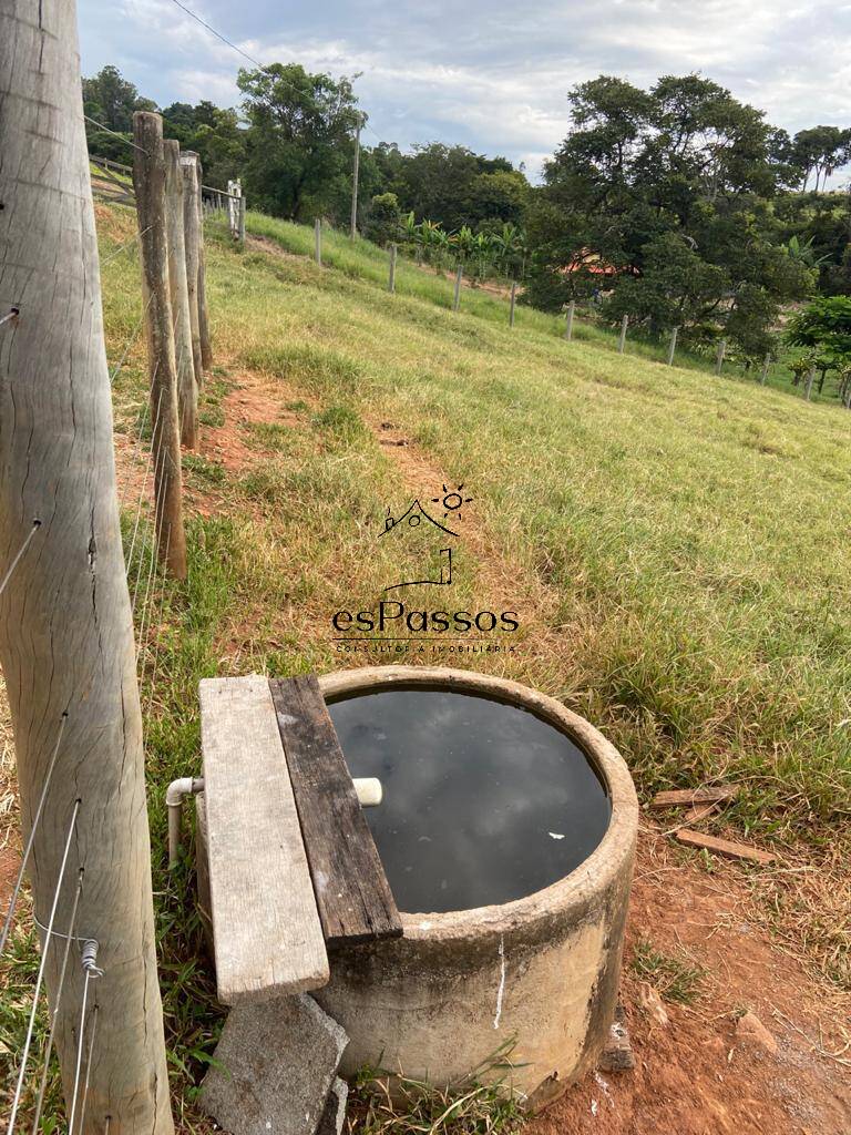 Fazenda à venda com 3 quartos, 110000m² - Foto 49