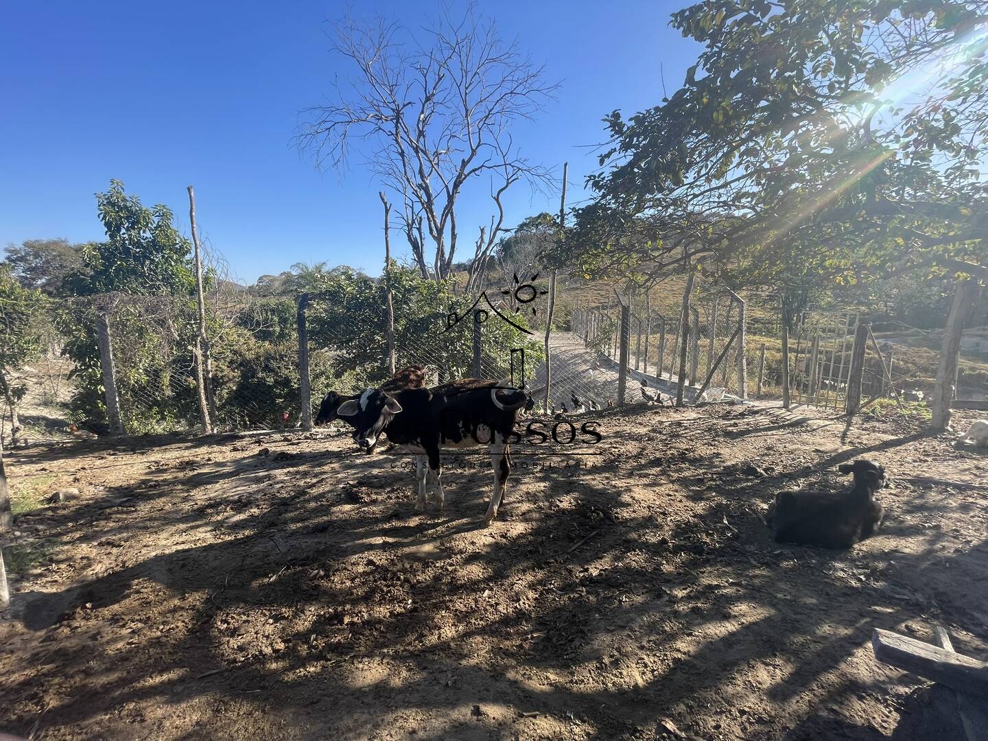 Fazenda à venda com 3 quartos, 110000m² - Foto 29