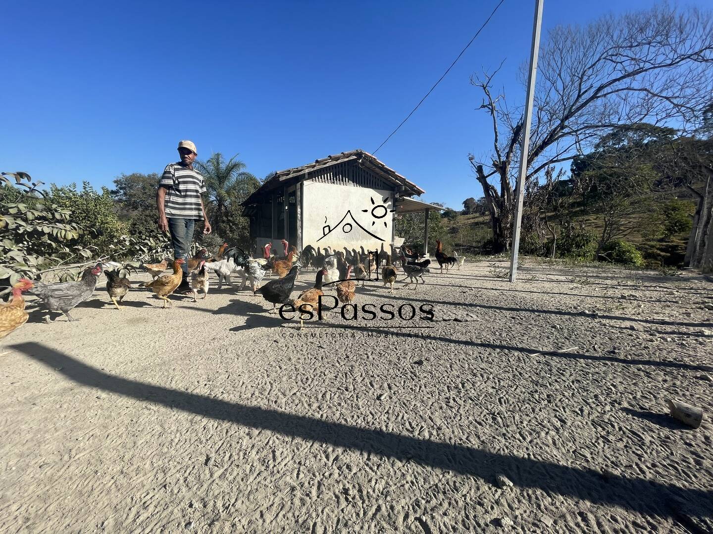 Fazenda à venda com 3 quartos, 110000m² - Foto 32