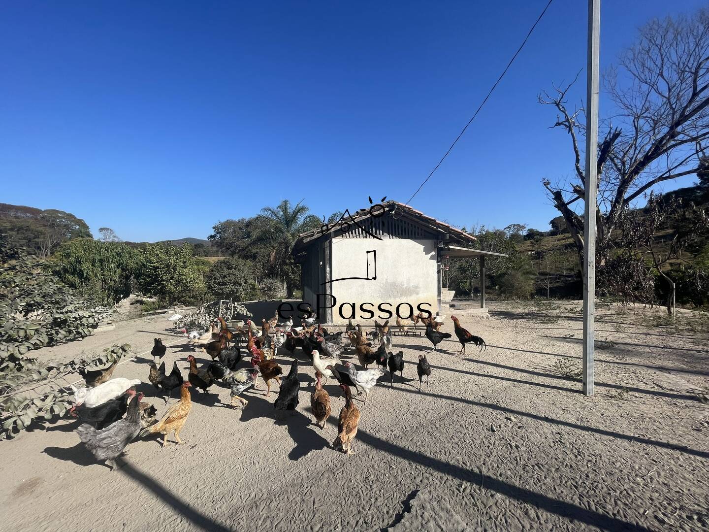 Fazenda à venda com 3 quartos, 110000m² - Foto 33