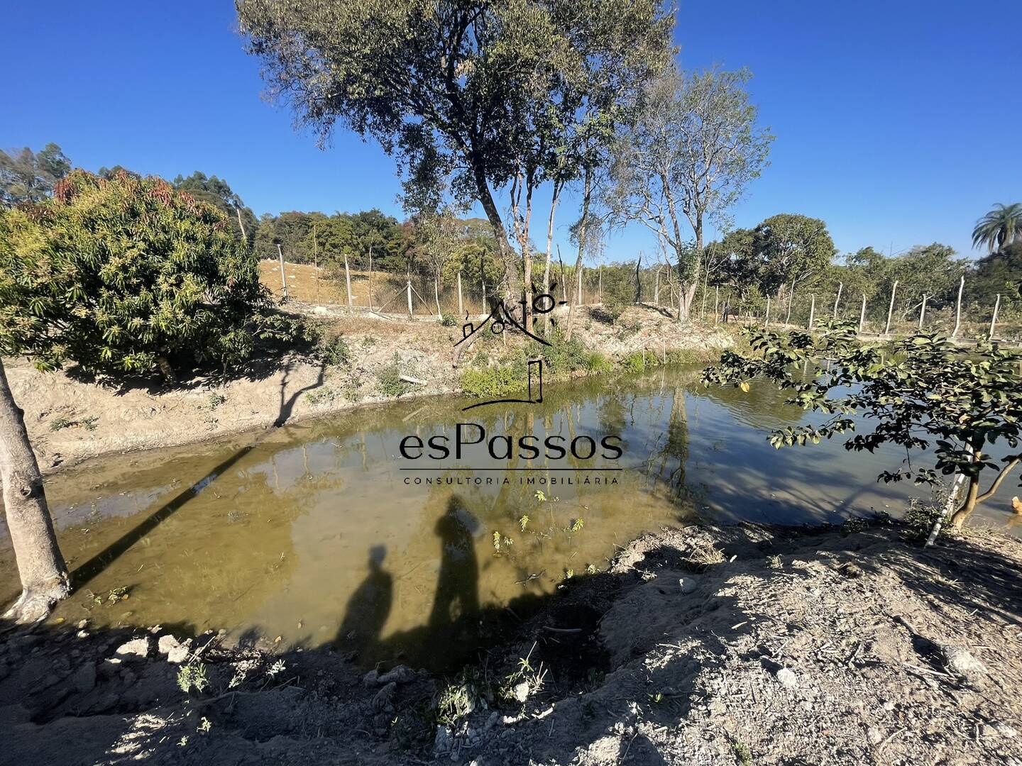 Fazenda à venda com 3 quartos, 110000m² - Foto 41