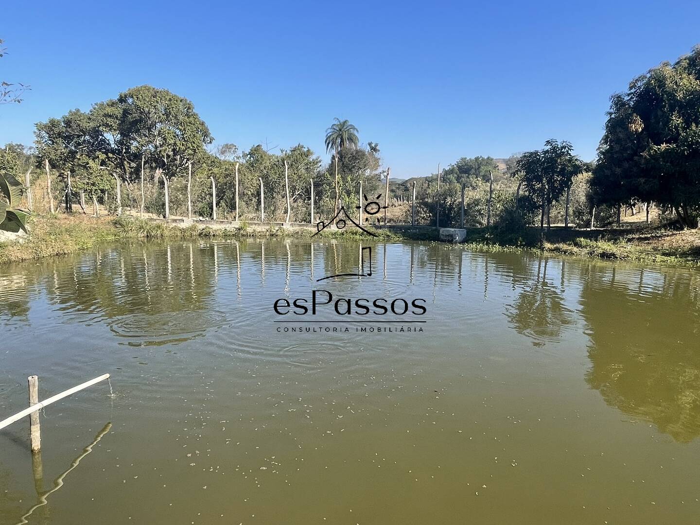 Fazenda à venda com 3 quartos, 110000m² - Foto 40