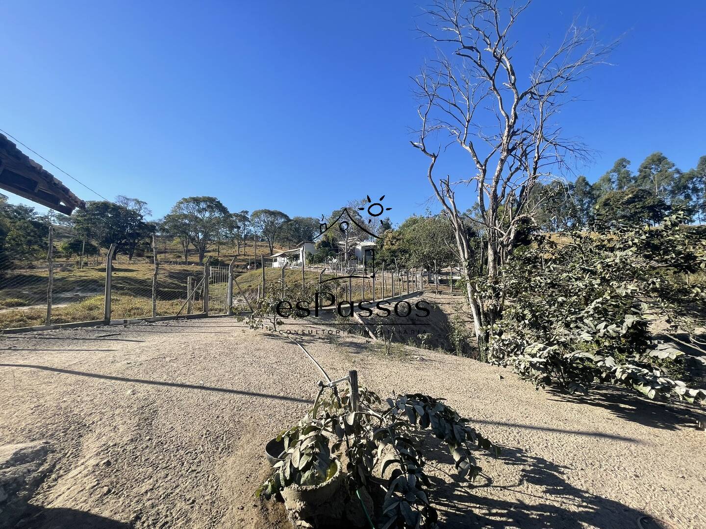 Fazenda à venda com 3 quartos, 110000m² - Foto 42