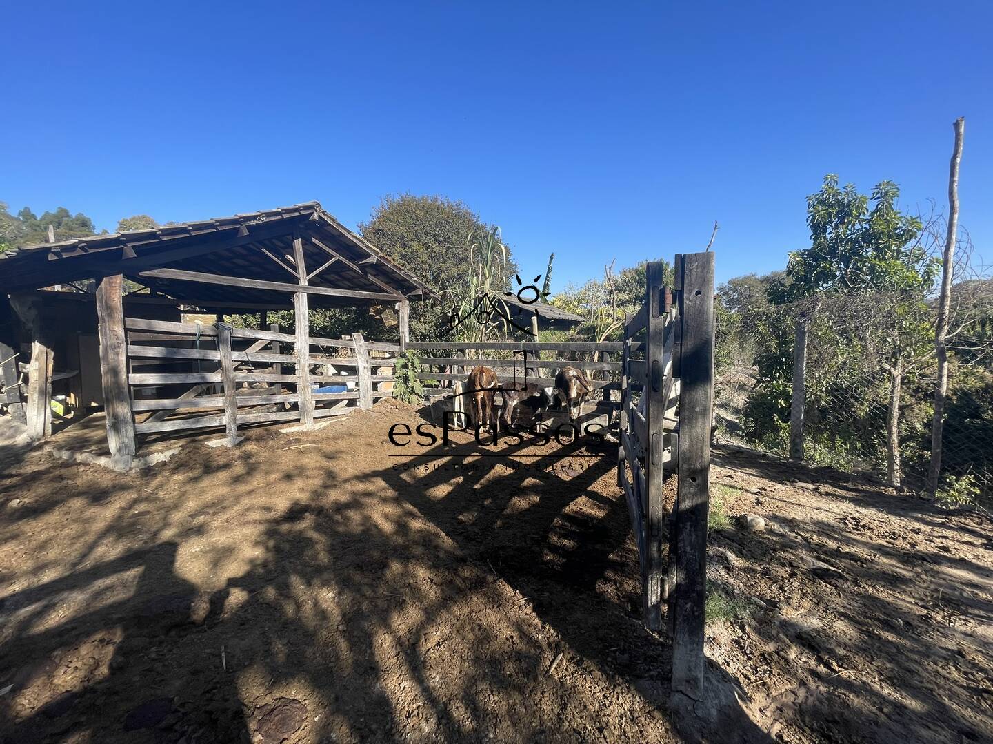 Fazenda à venda com 3 quartos, 110000m² - Foto 48