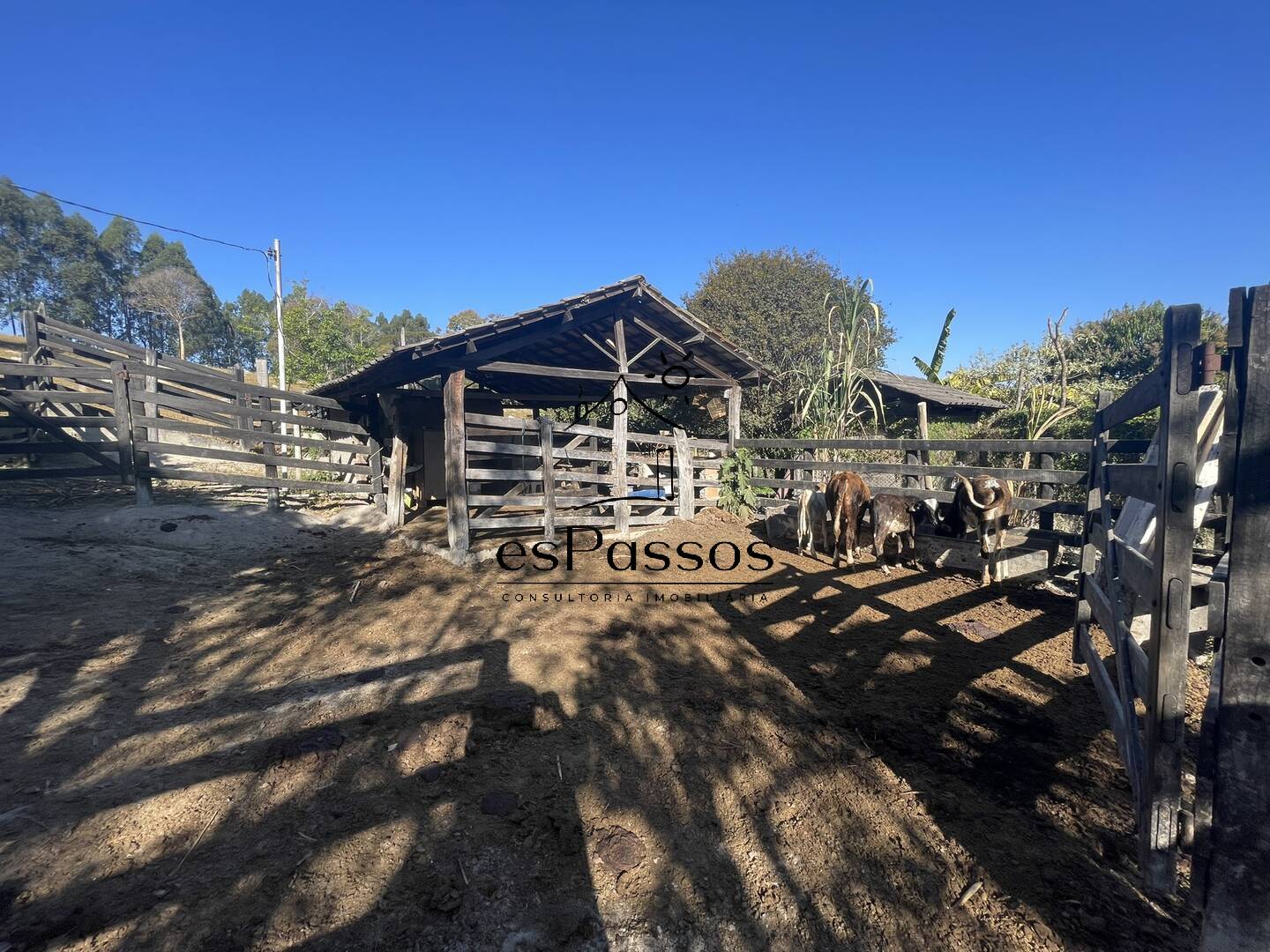 Fazenda à venda com 3 quartos, 110000m² - Foto 47