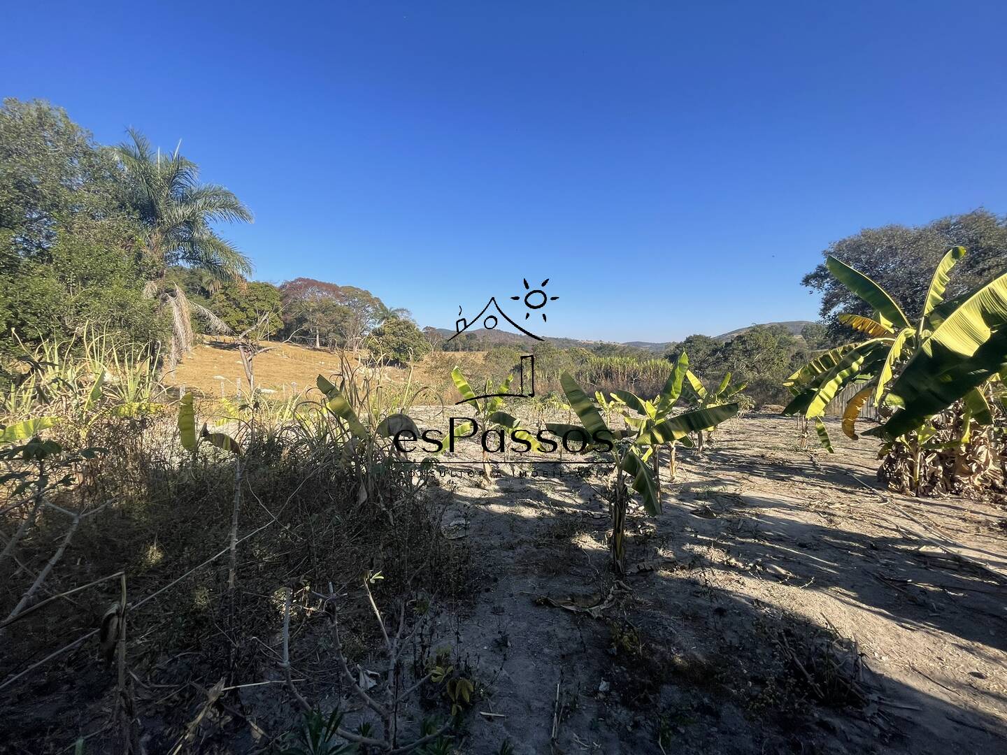 Fazenda à venda com 3 quartos, 110000m² - Foto 52