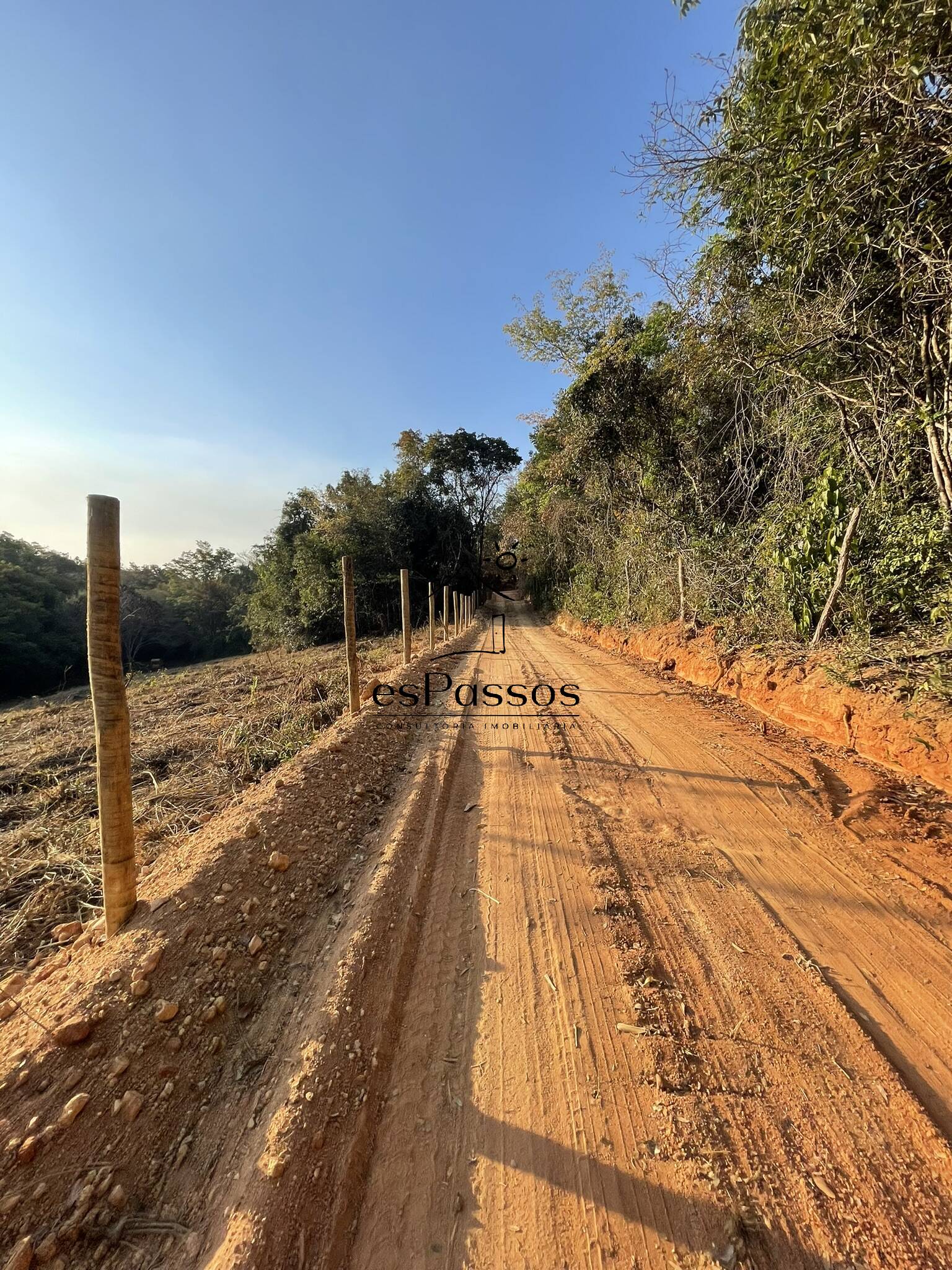 Terreno à venda, 20000m² - Foto 4