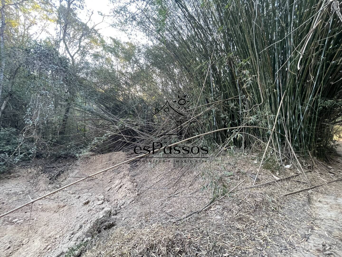 Terreno à venda, 20000m² - Foto 10