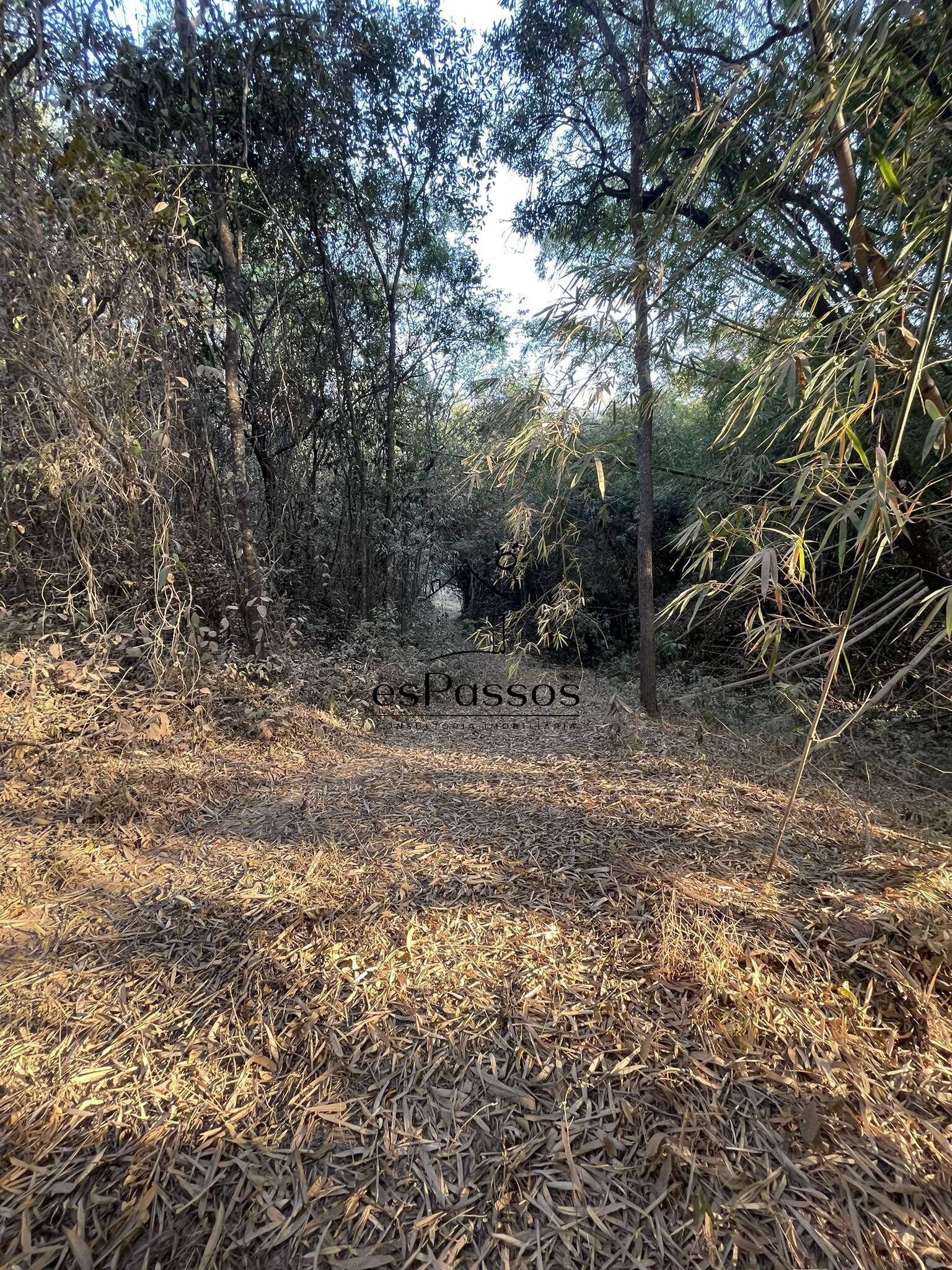 Terreno à venda, 20000m² - Foto 11