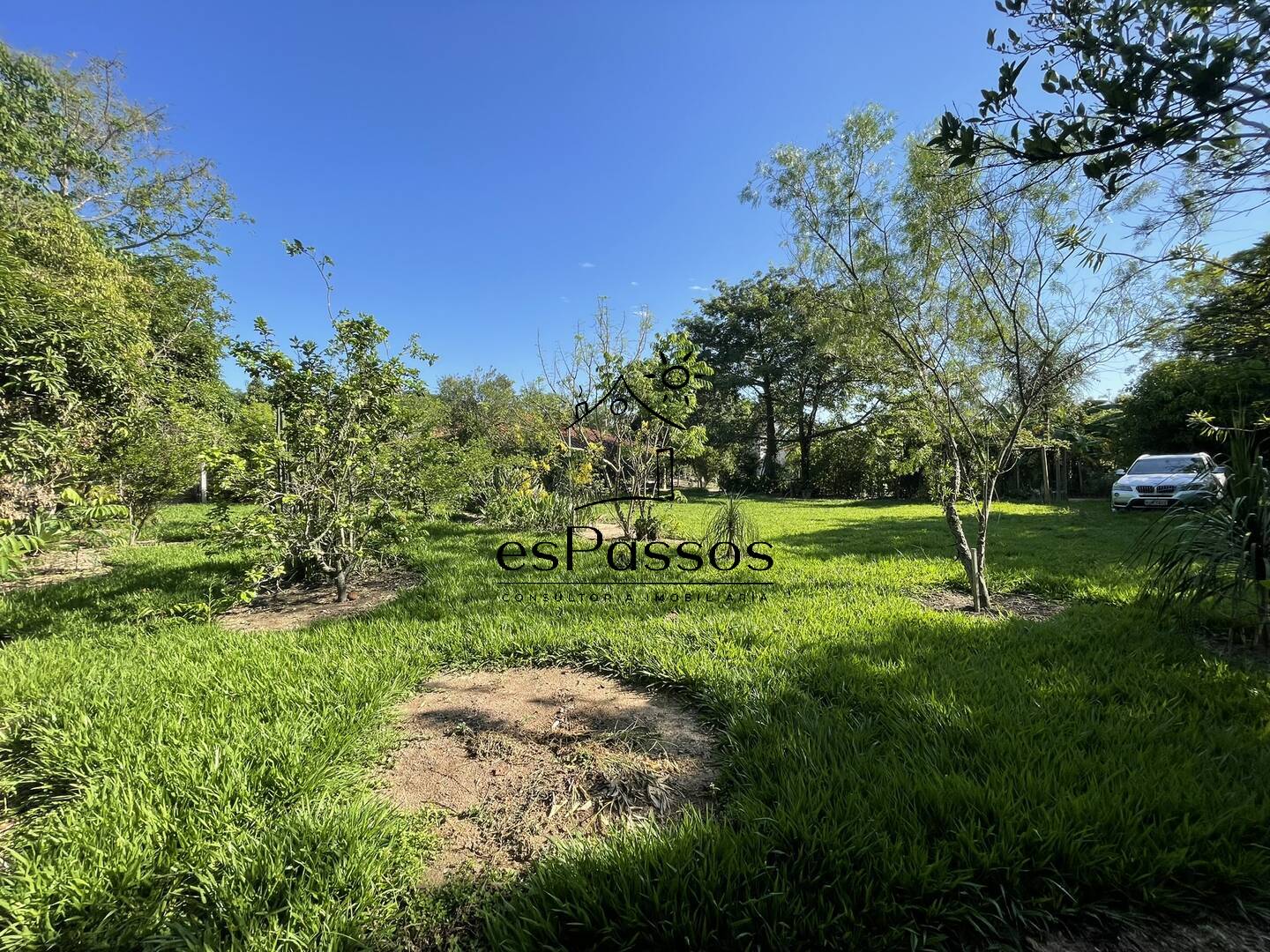 Fazenda à venda com 3 quartos, 5000m² - Foto 2