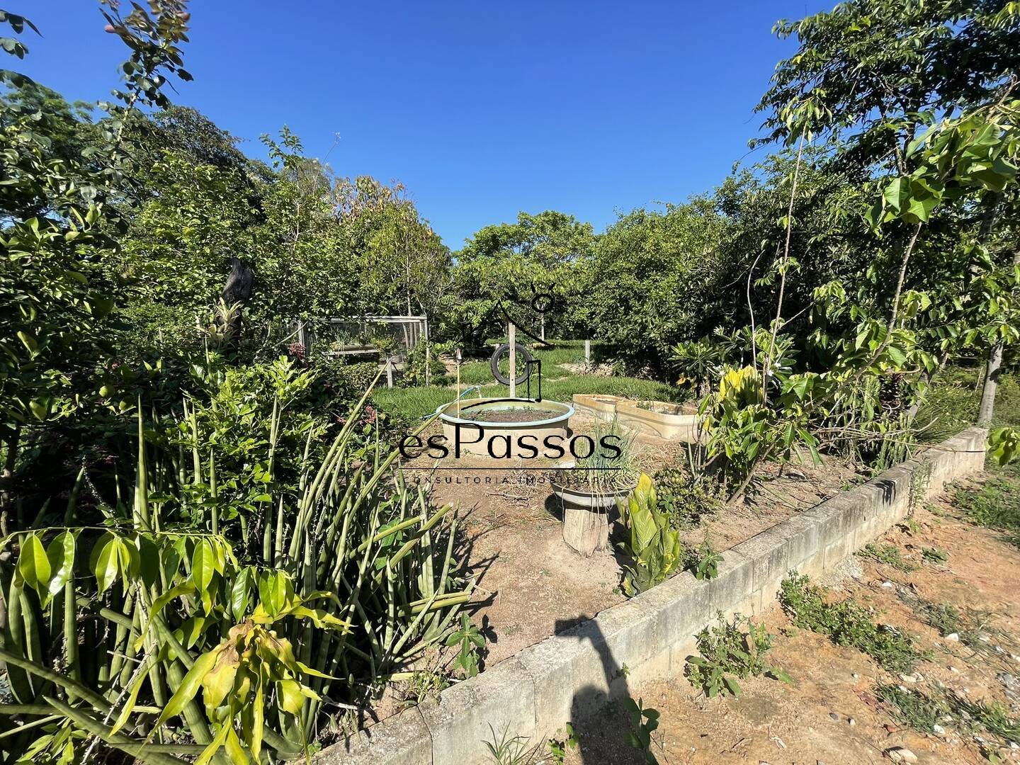 Fazenda à venda com 3 quartos, 5000m² - Foto 3