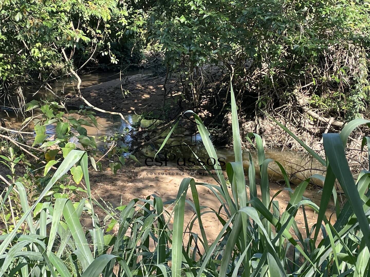 Fazenda à venda com 3 quartos, 5000m² - Foto 20