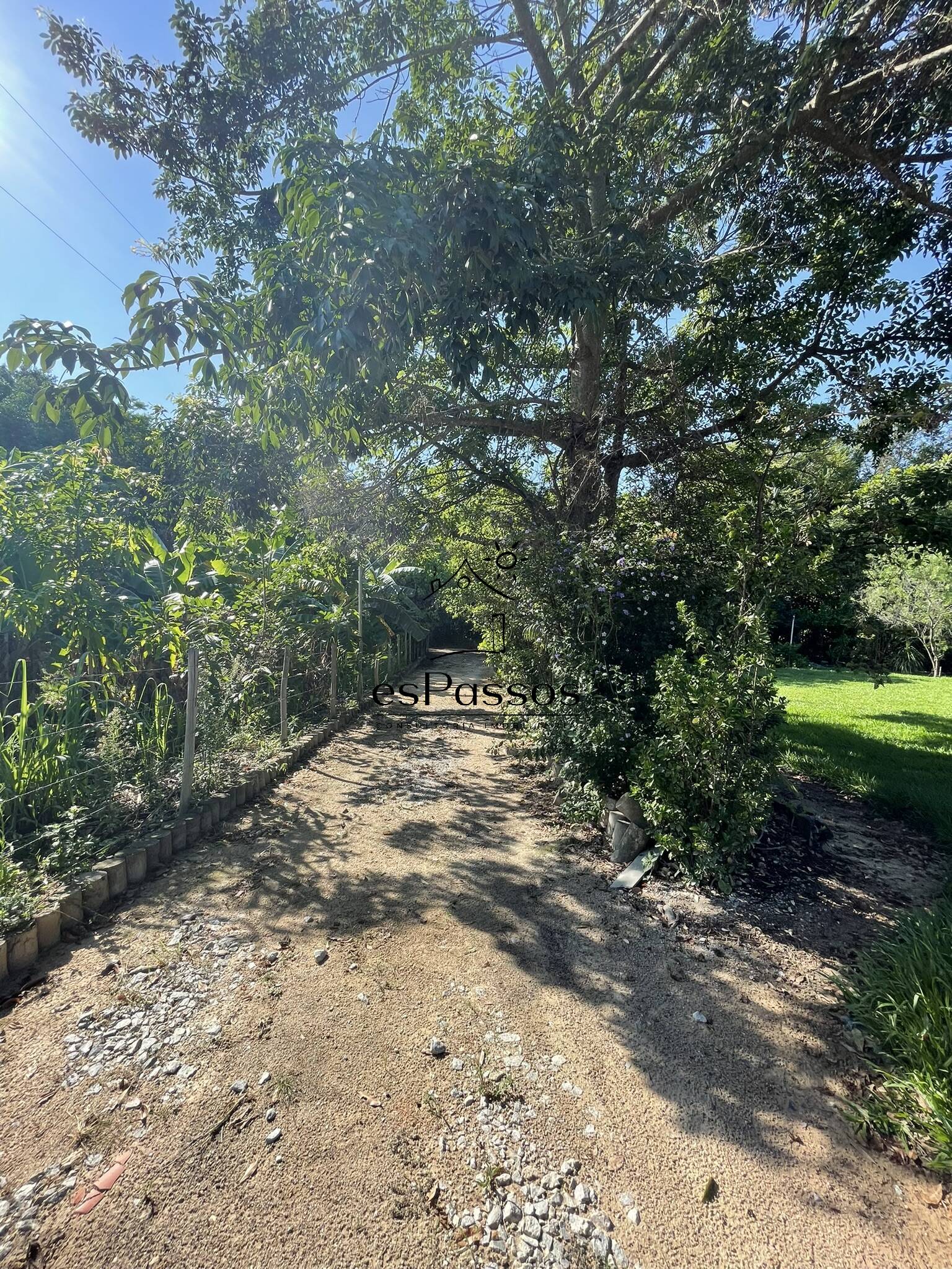 Fazenda à venda com 3 quartos, 5000m² - Foto 23