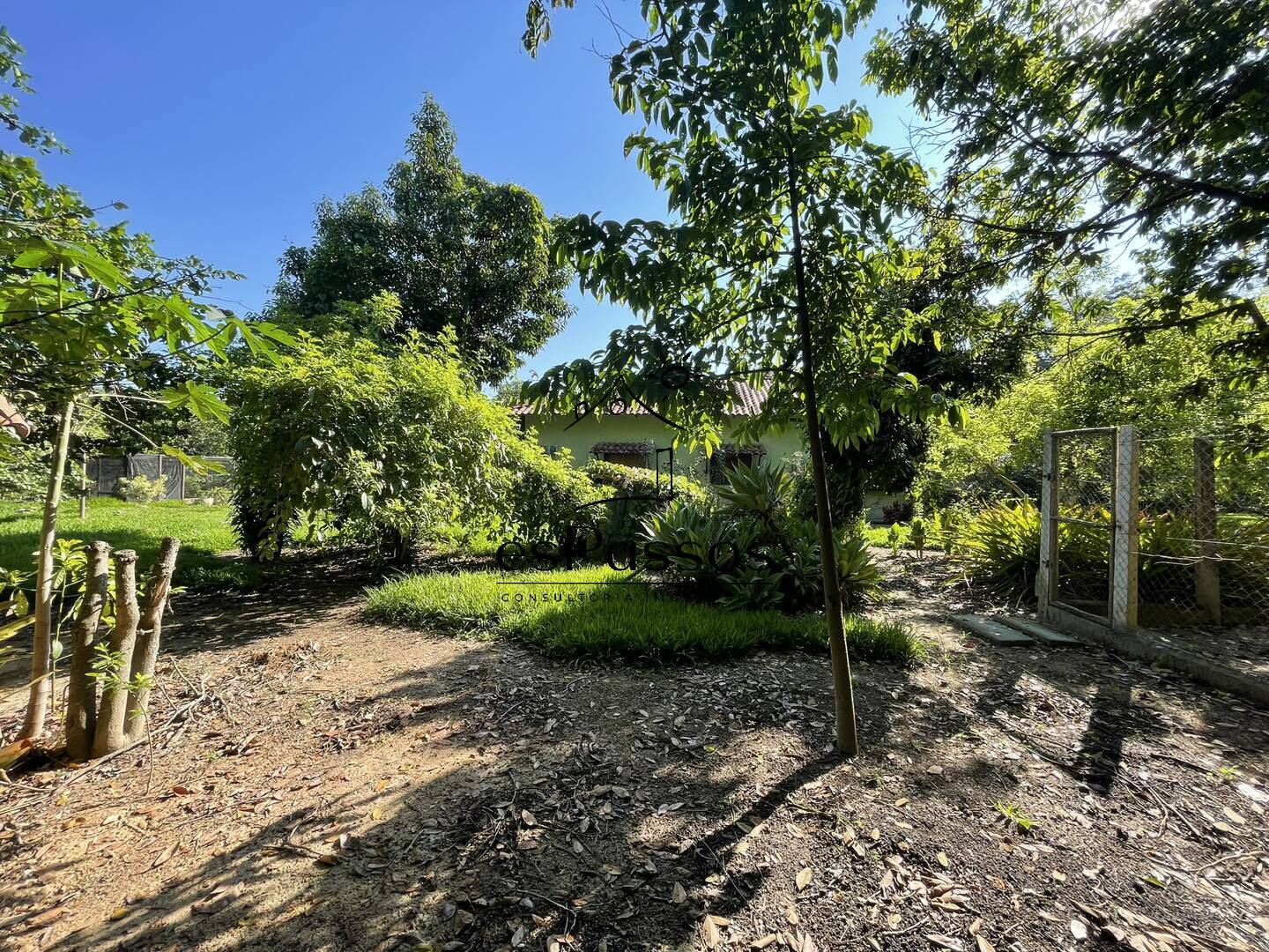 Fazenda à venda com 3 quartos, 5000m² - Foto 29