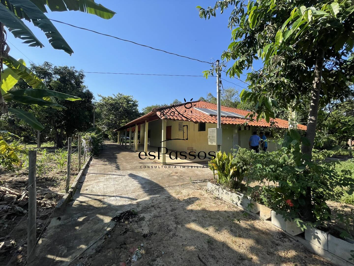 Fazenda à venda com 3 quartos, 5000m² - Foto 30