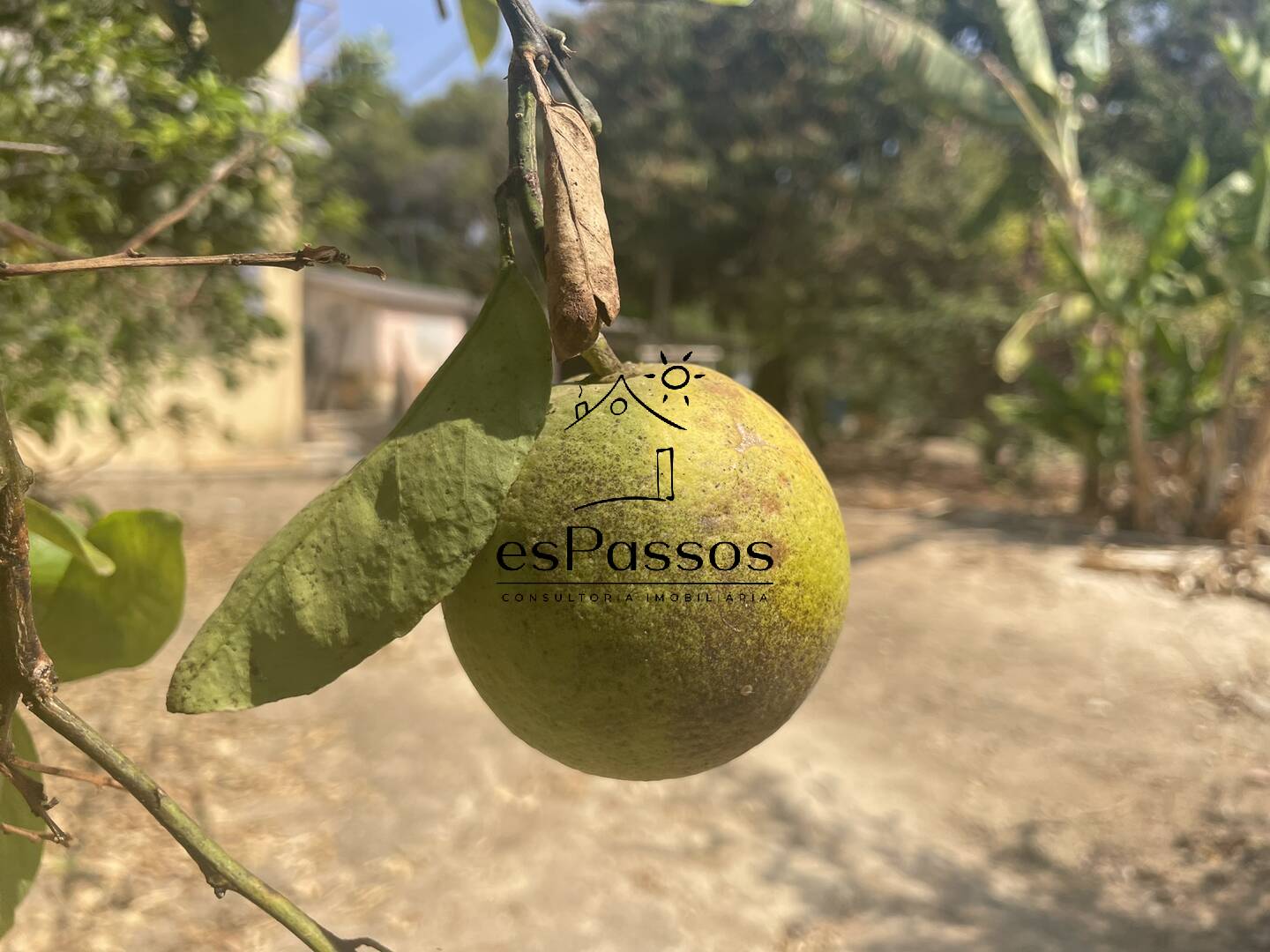 Fazenda à venda com 2 quartos, 200m² - Foto 19