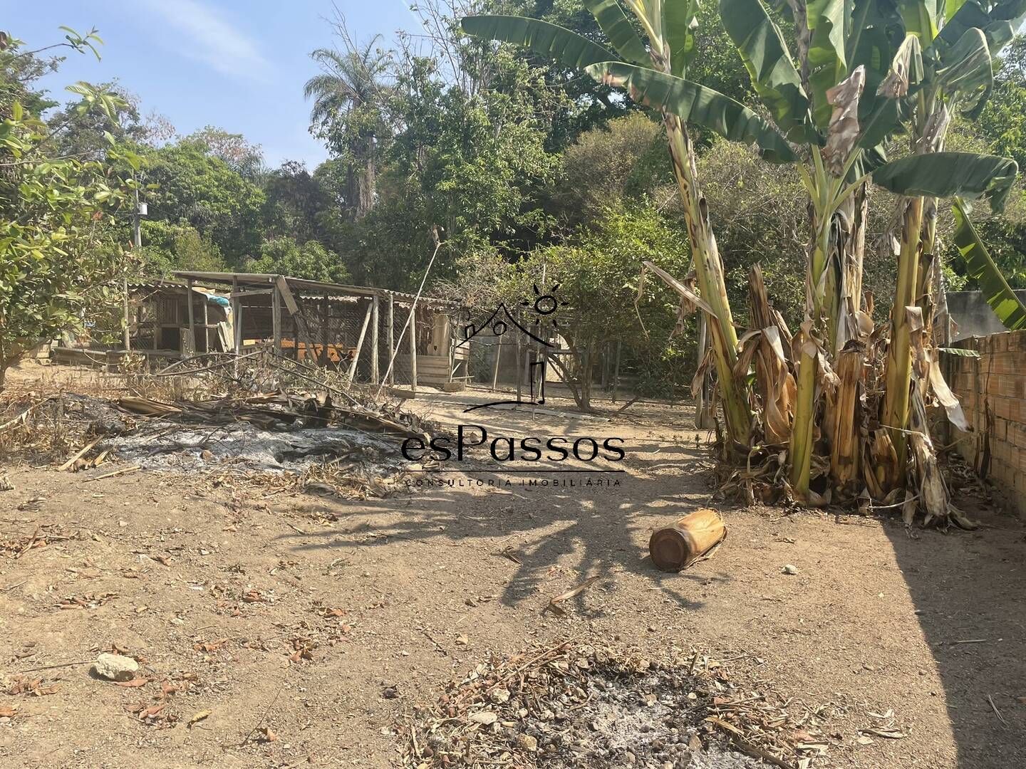 Fazenda à venda com 2 quartos, 200m² - Foto 20