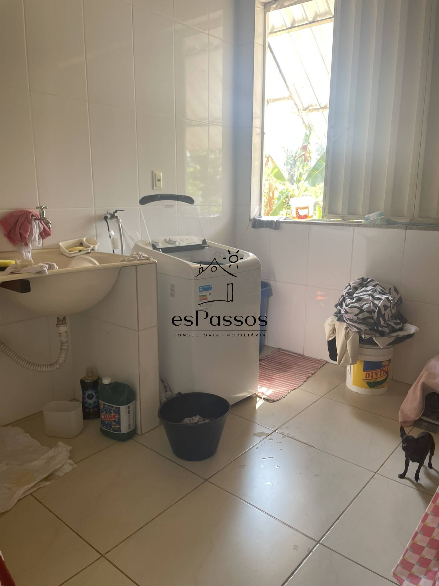 Fazenda à venda com 2 quartos, 200m² - Foto 6